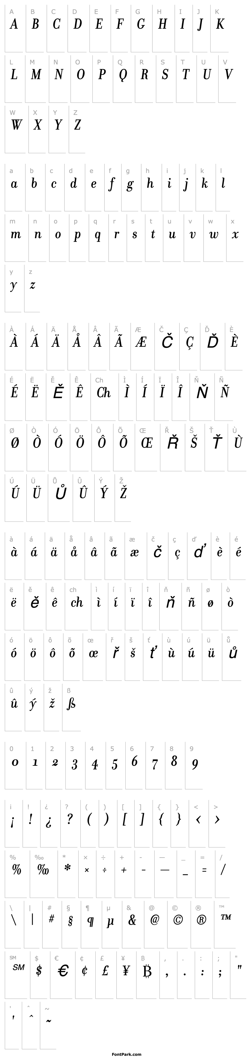 Přehled Donatora Medium OSF Italic