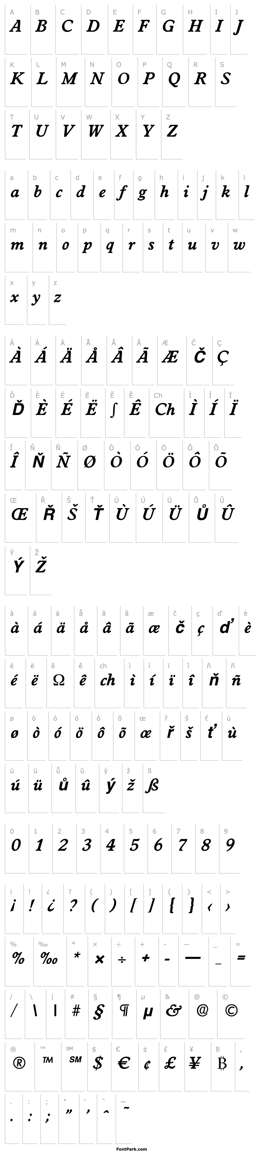 Overview DonBecker Bold Italic