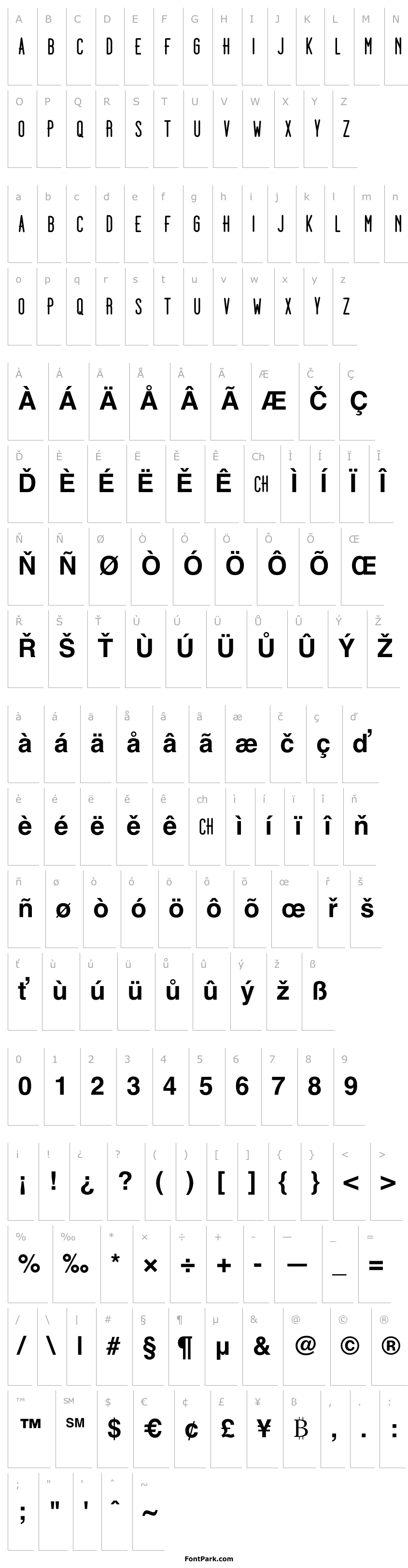 Přehled Dooodleista Bold