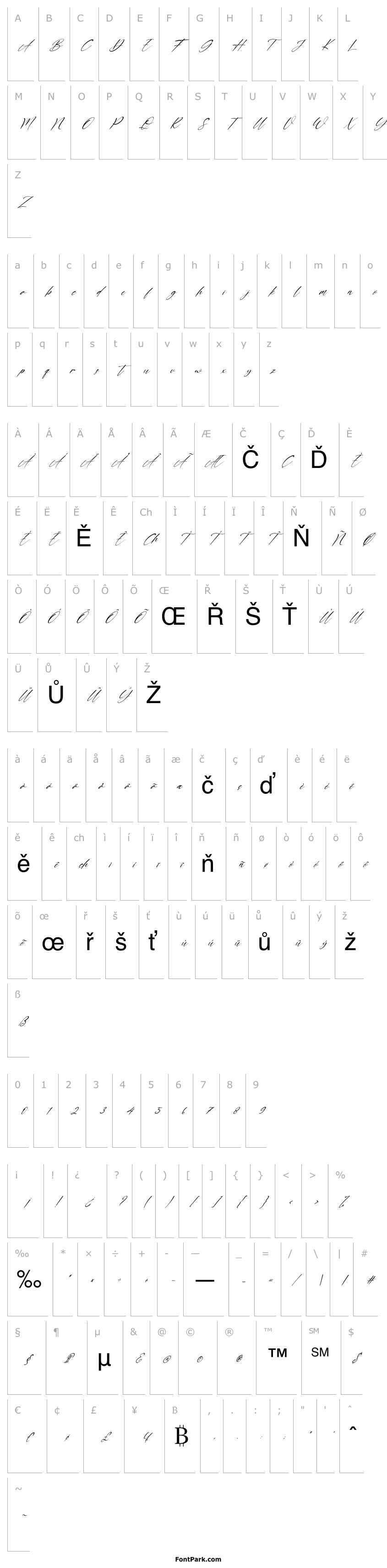 Přehled Double Signature Italic