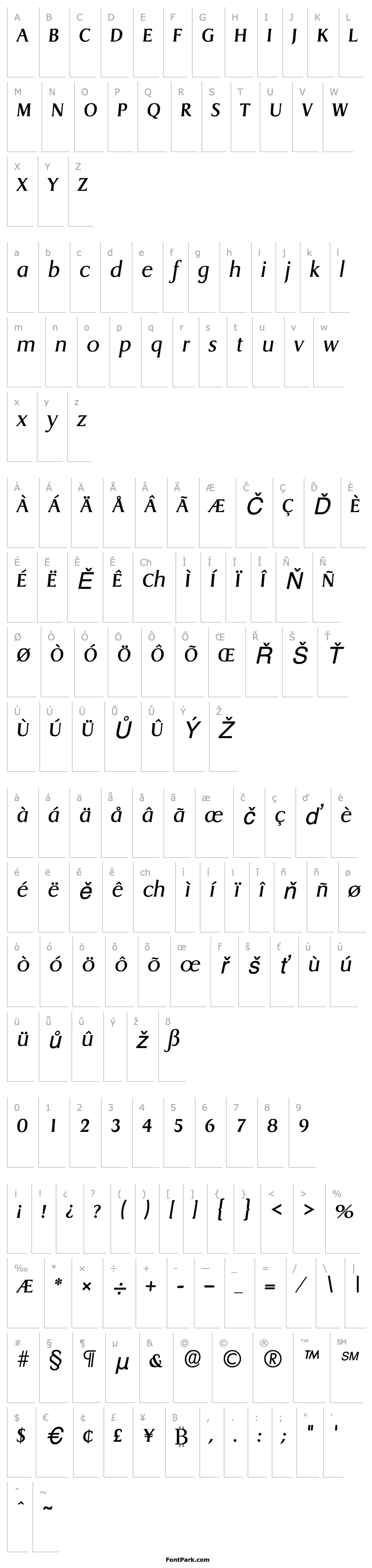Overview Dragon Italic