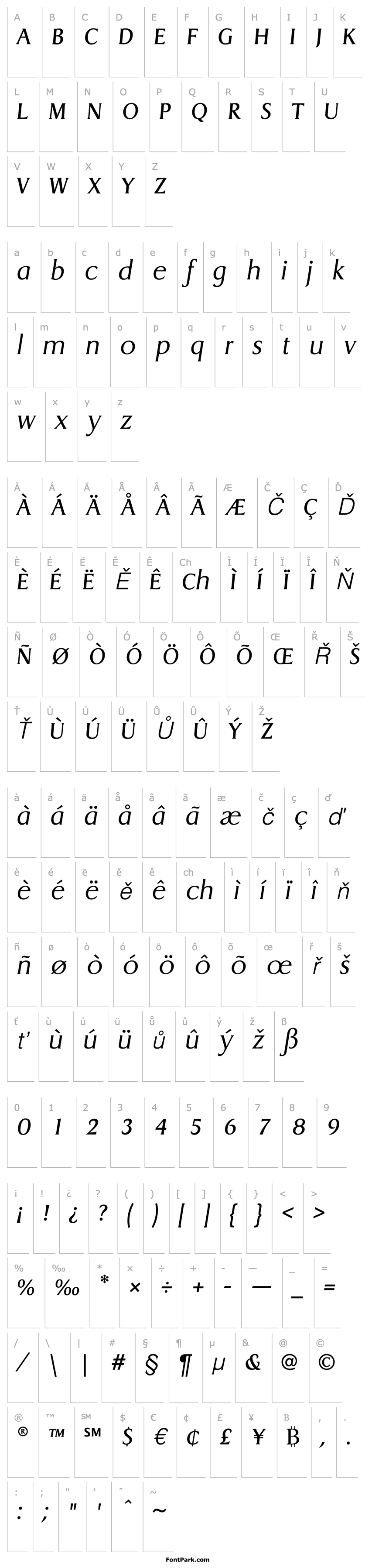 Overview DragonEF-LightItalic