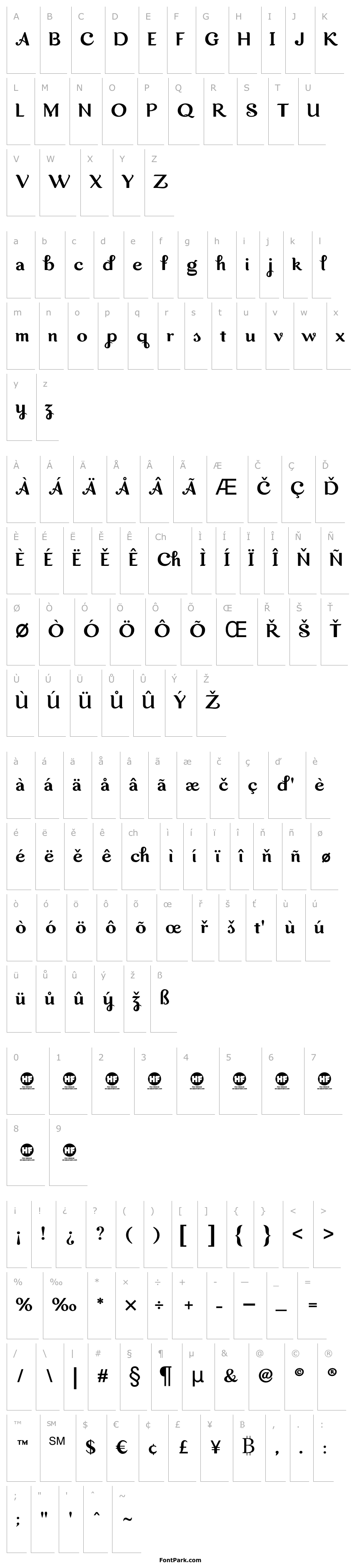 Overview Dreamwood DEMO Regular