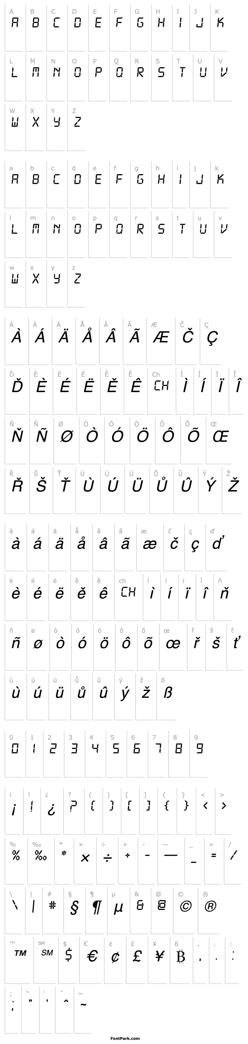 Overview DS-Digital Italic