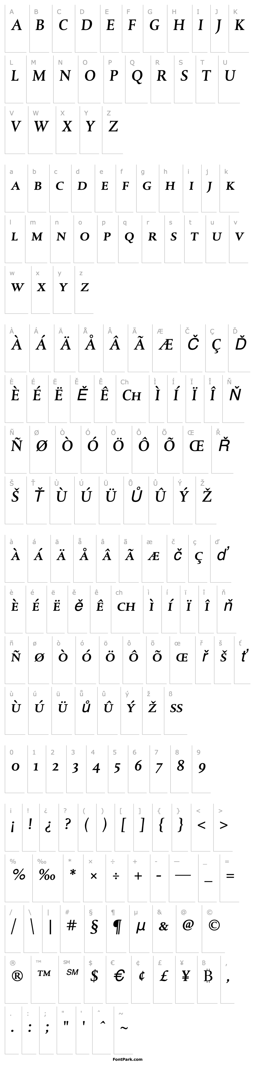 Overview DTLAlbertinaT-CapsMediumItalic