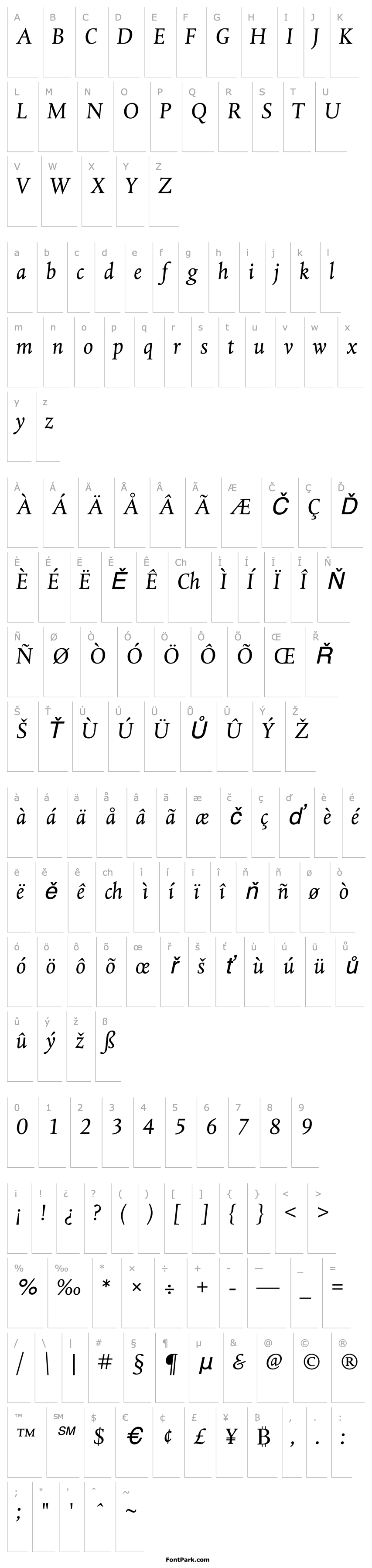 Přehled DTLAlbertinaT-Italic