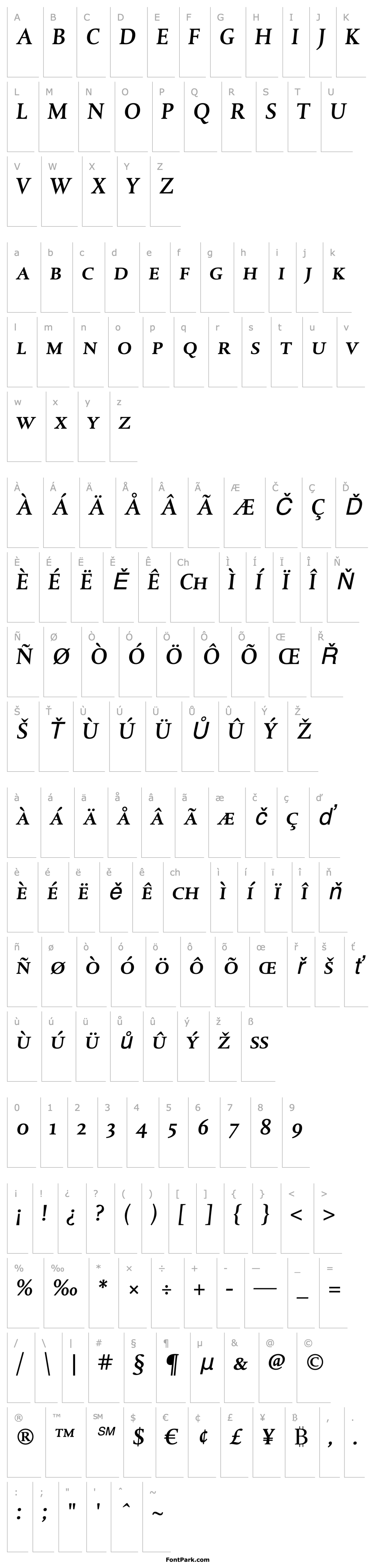 Overview DTLAlbertinaTCaps-MediumItalic