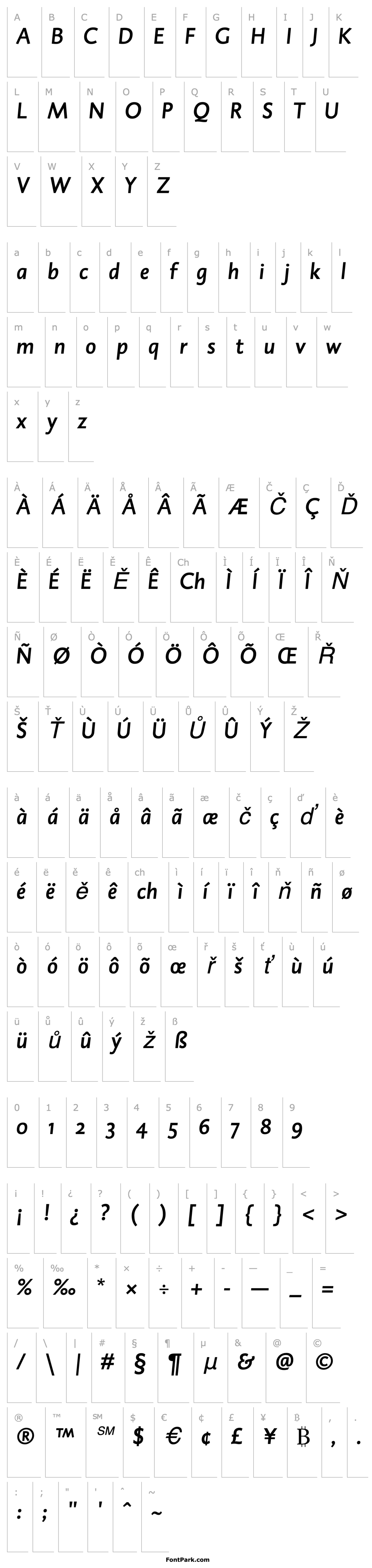 Přehled DTLCaspariSTMedium-Italic