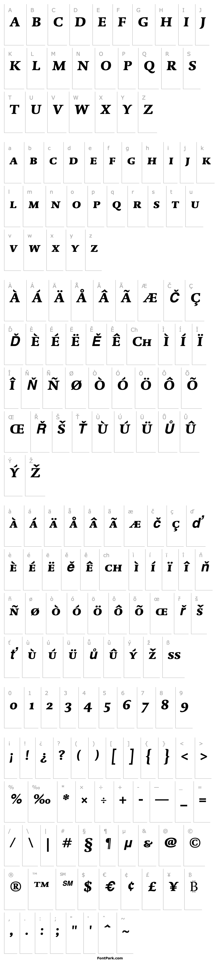 Overview DTLDorianT-CapsBlackItalic