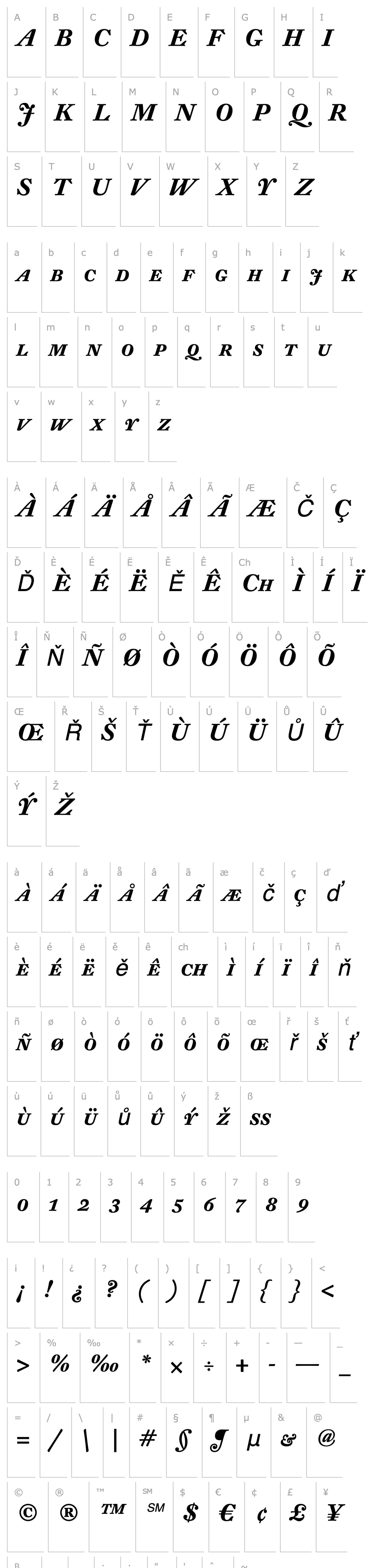 Overview DTLFleischmann-DBoldItCaps