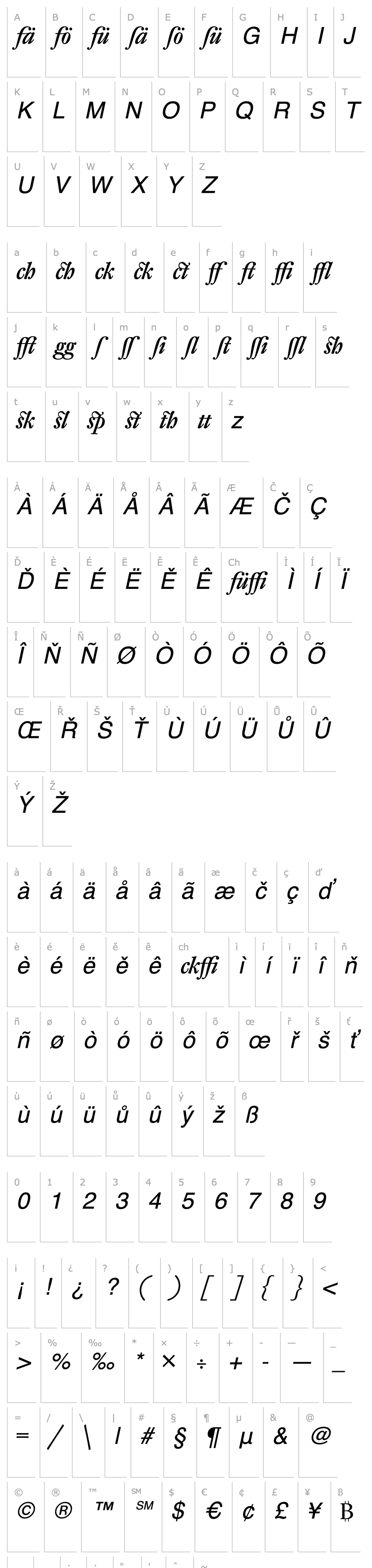 Overview DTLFleischmannD-AltMediumItalic