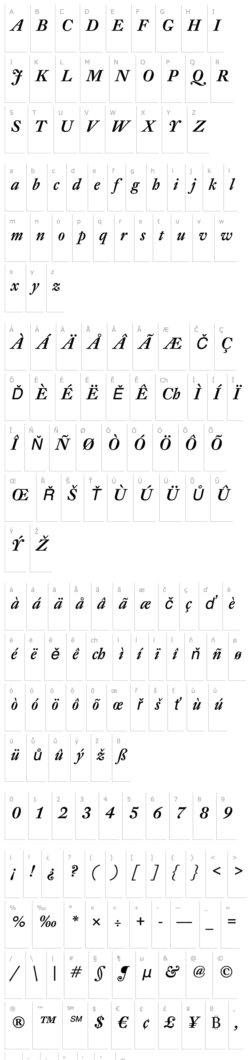 Overview DTLFleischmannD-MediumItalic