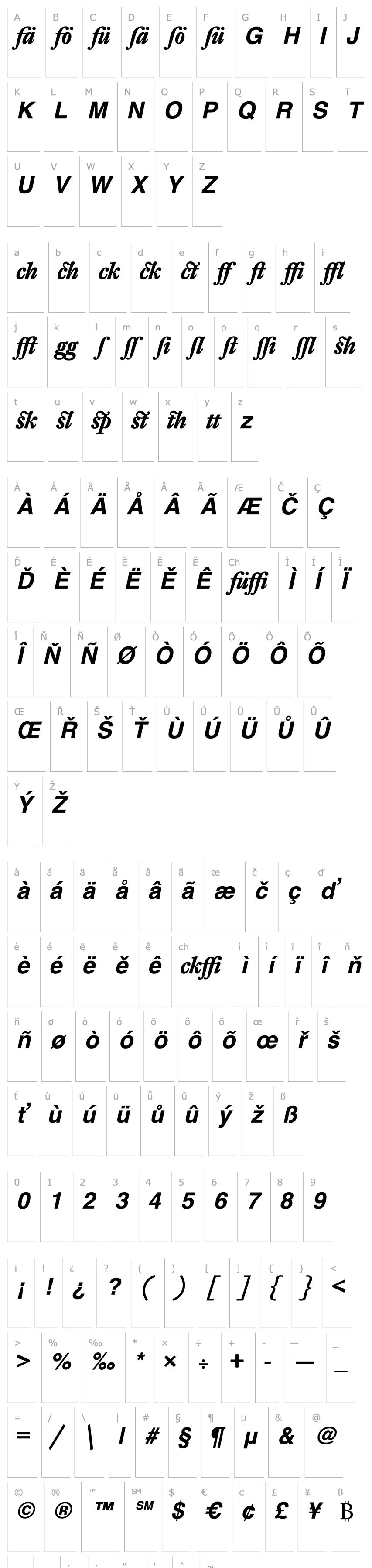 Overview DTLFleischmannT-AltBoldItalic