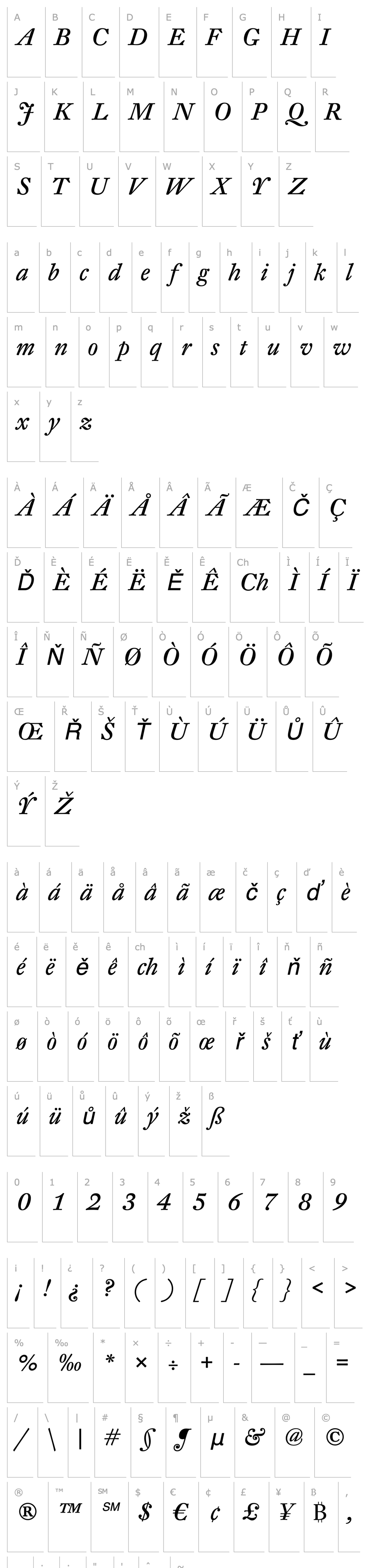 Overview DTLFleischmannT-Italic