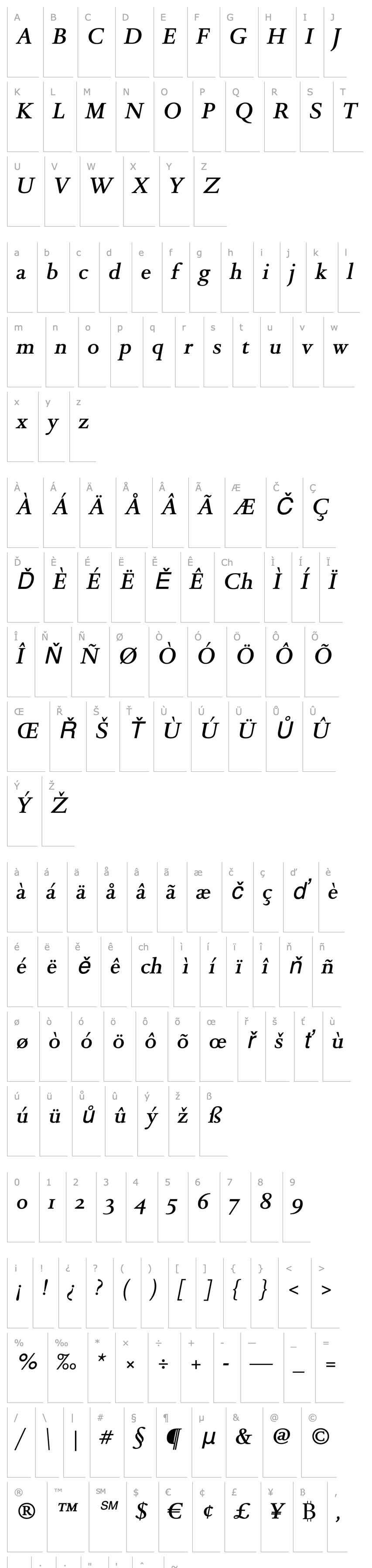 Overview DTLRomulusST-MediumItalic