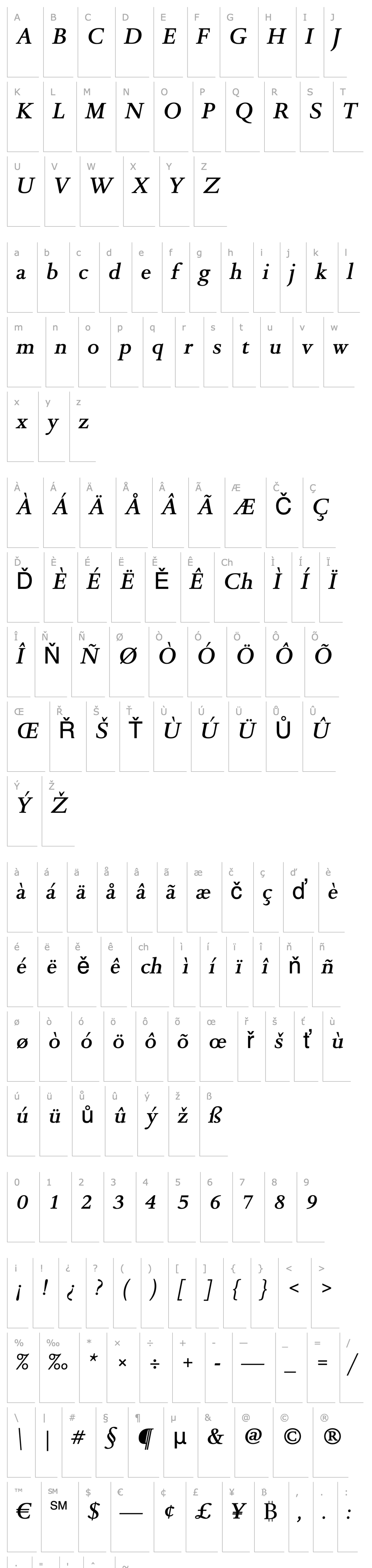 Overview DTLRomulusTMedium-Italic