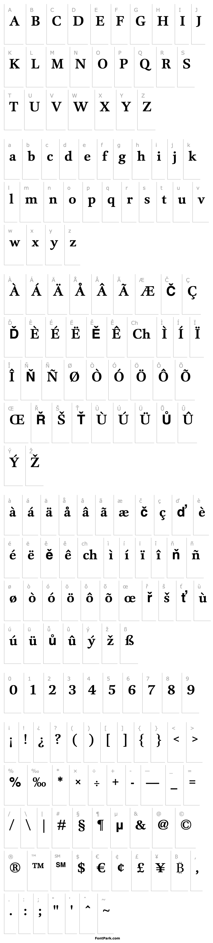 Overview DTLUnicoT-Bold