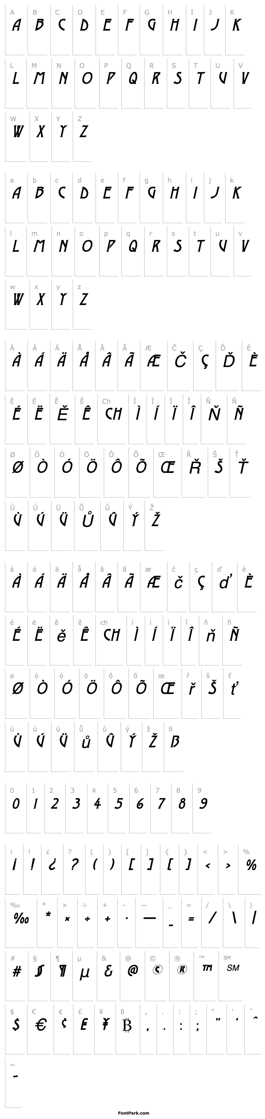 Overview DustineSolid Italic