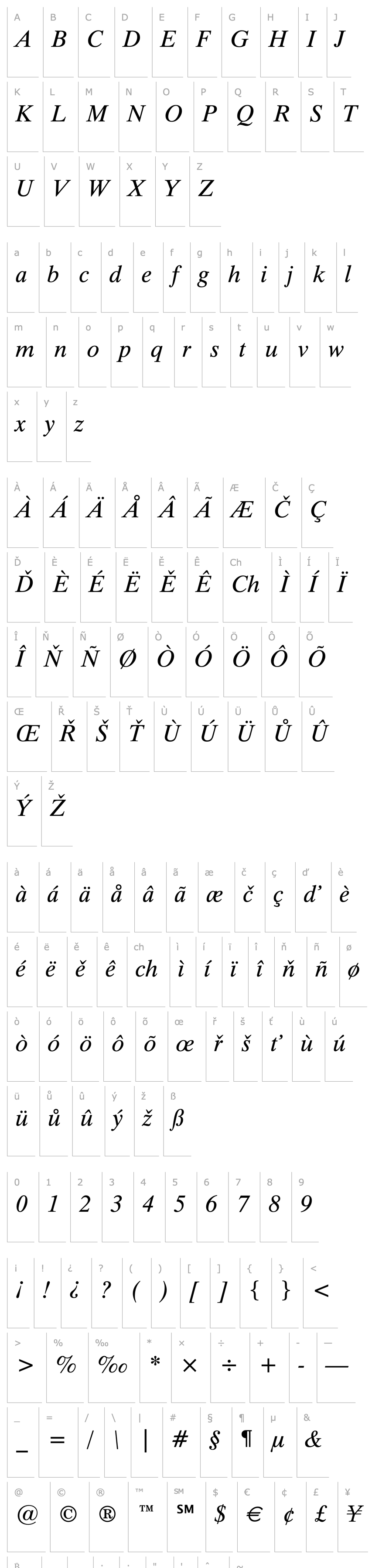 Overview Dutch 801 Italic Win95BT