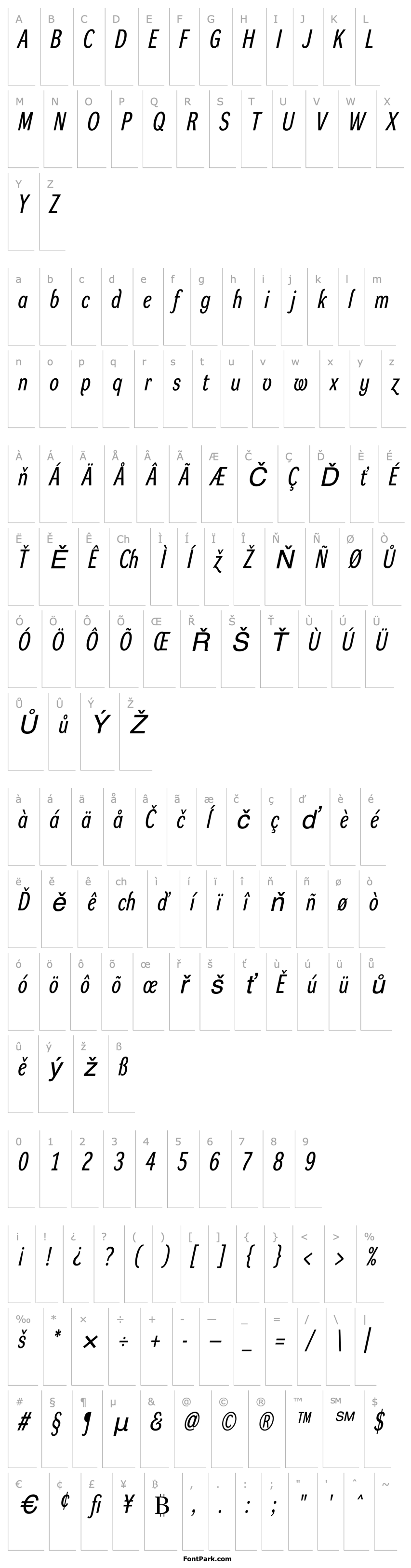 Overview DynamoRcItalicRC