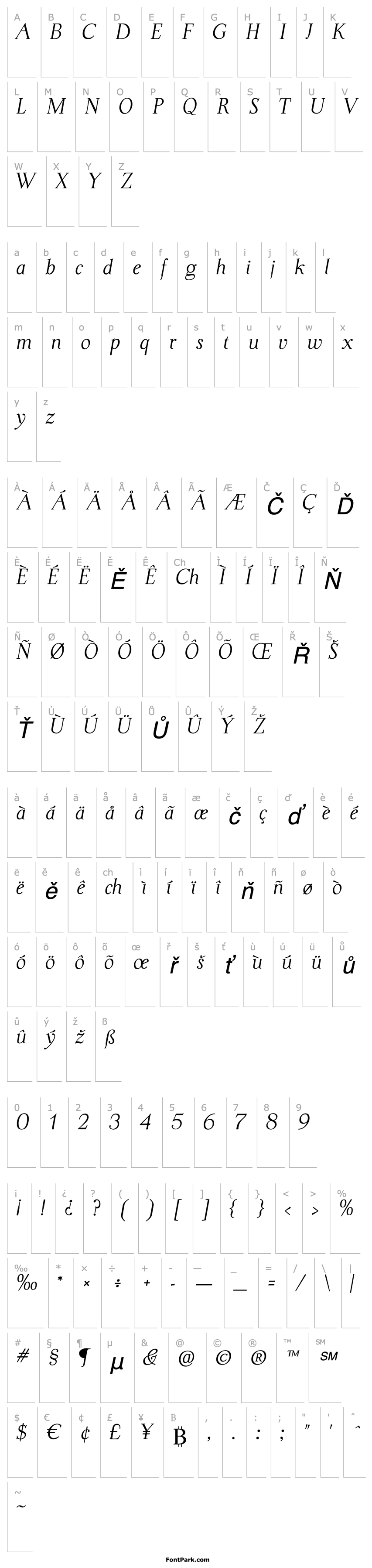 Overview Dyrynk Italic P22