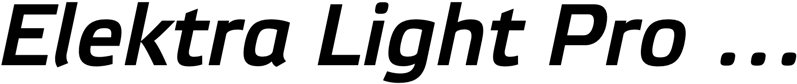 Preview Elektra Light Pro Bold Italic
