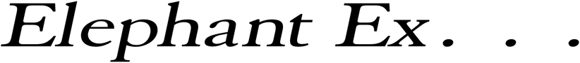 Preview Elephant Extended Italic