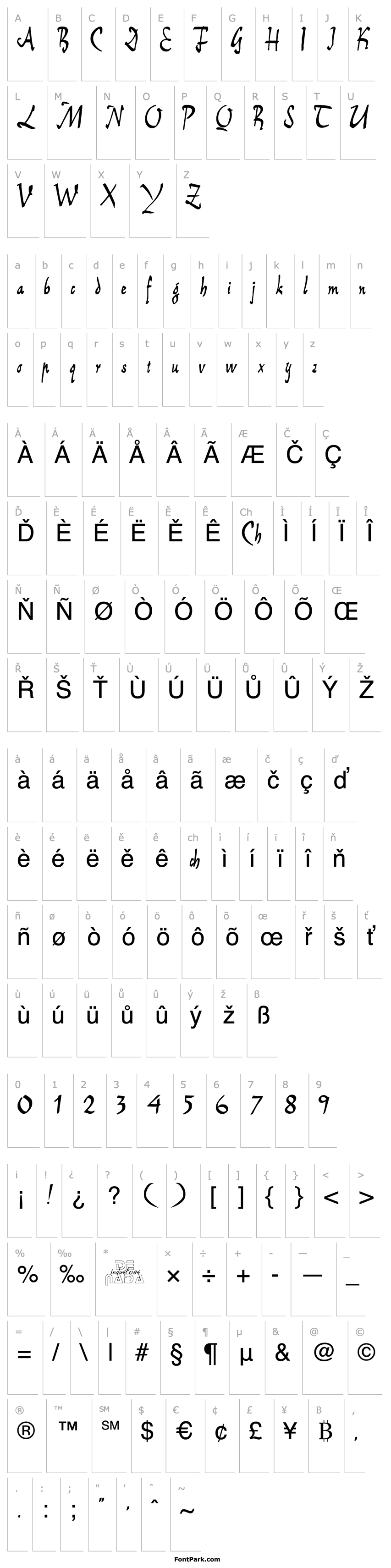 Overview E BrantScript