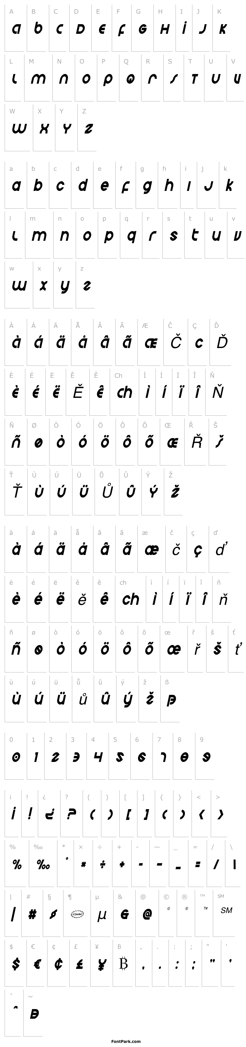 Overview Echo Station Condensed Italic