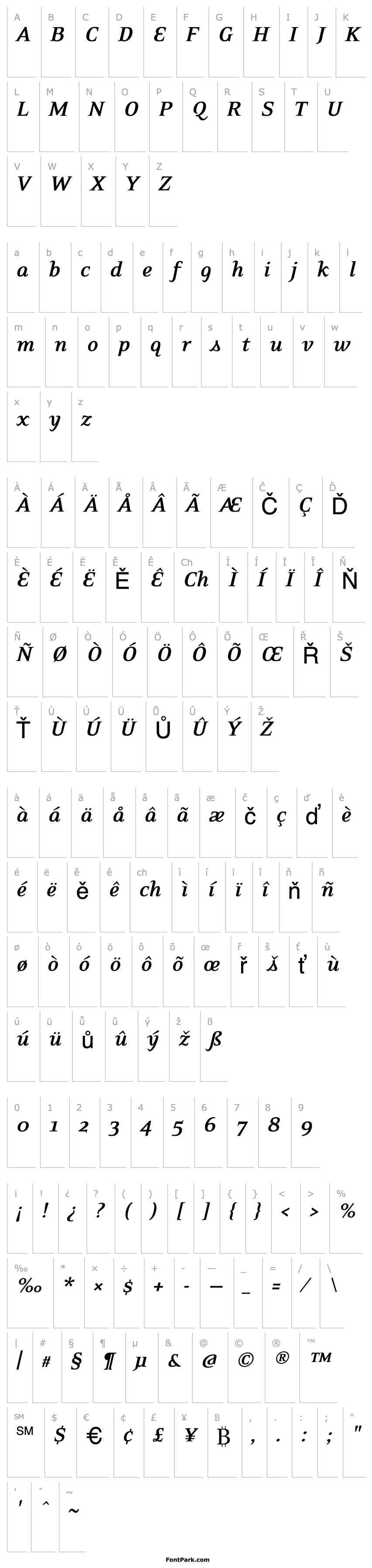 Overview EideticNeoBoldItalic