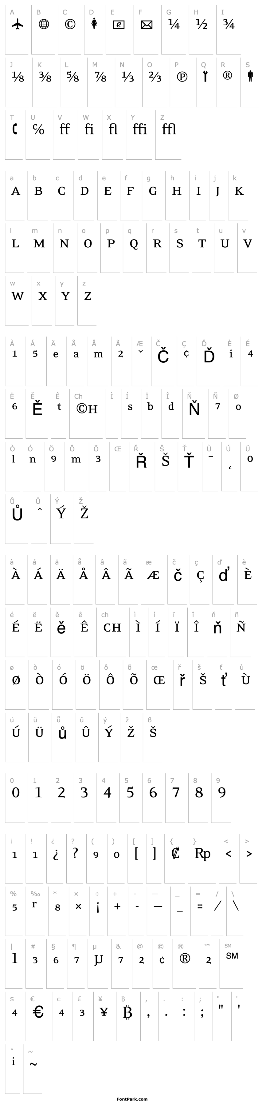 Overview EideticNeoFractions