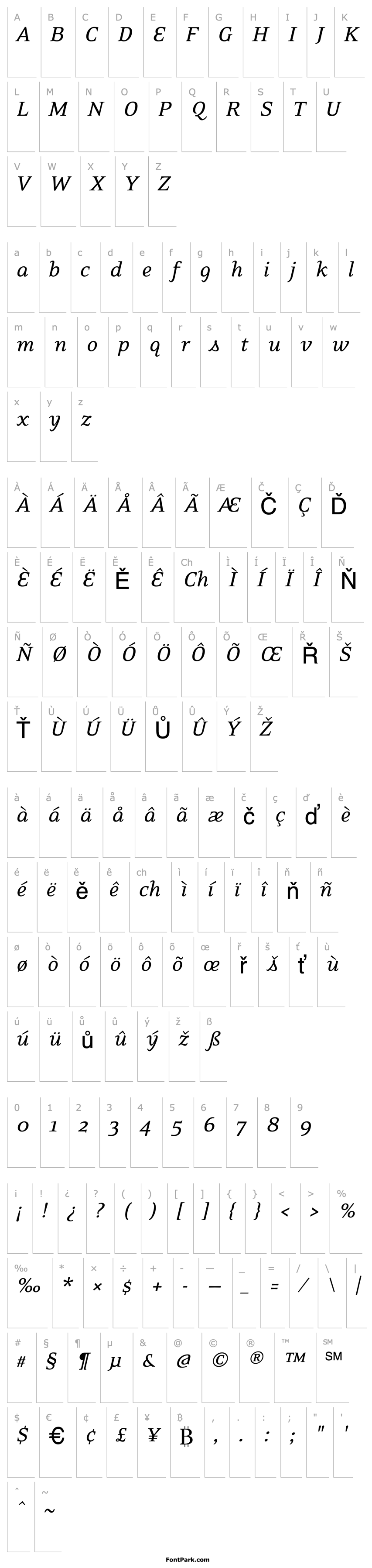 Přehled EideticNeoItalic