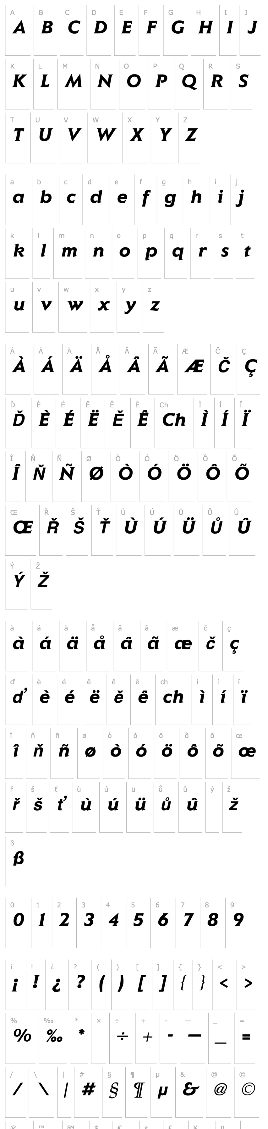 Overview Elan Bold Italic