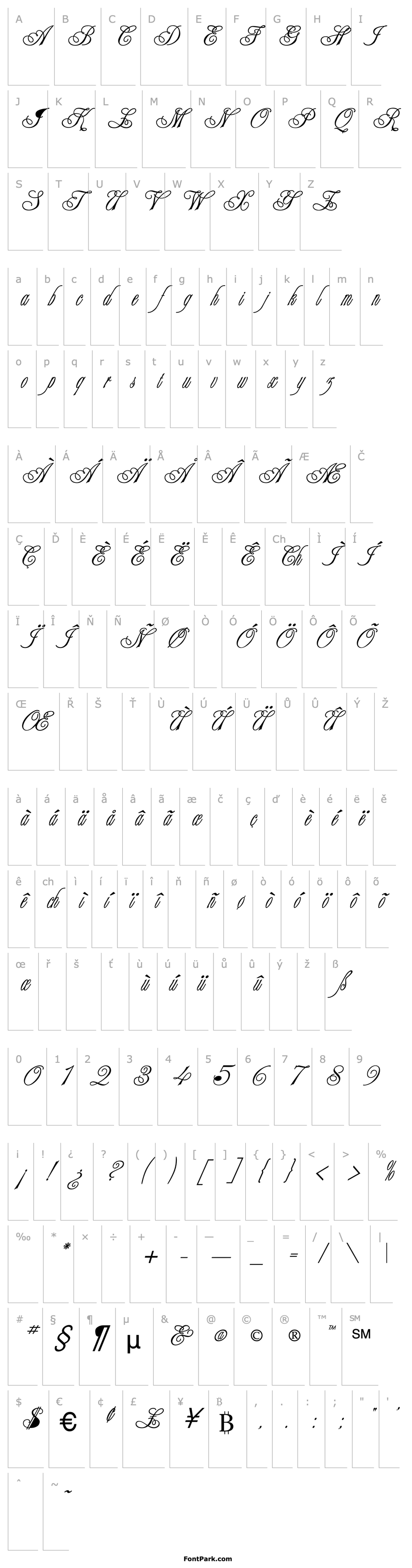 Přehled Election Script