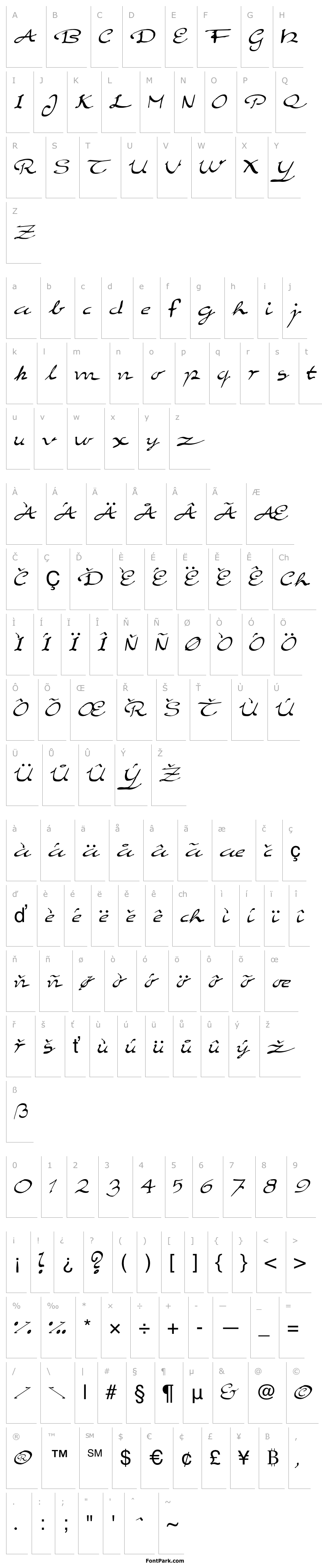 Overview Elegant hand Script