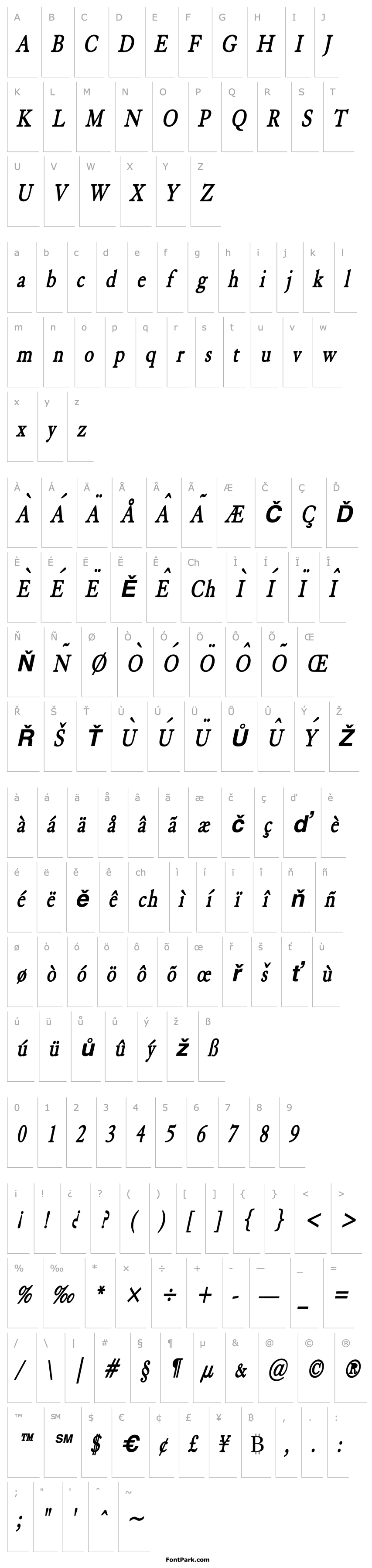 Overview Elephant Condensed BoldItalic