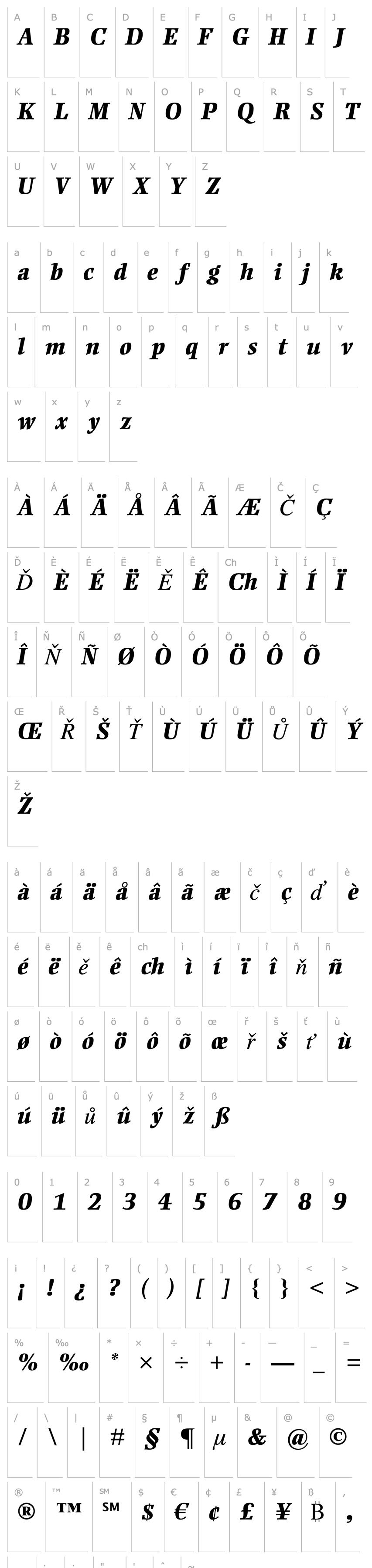 Overview Ellington MT Extra Bold Italic