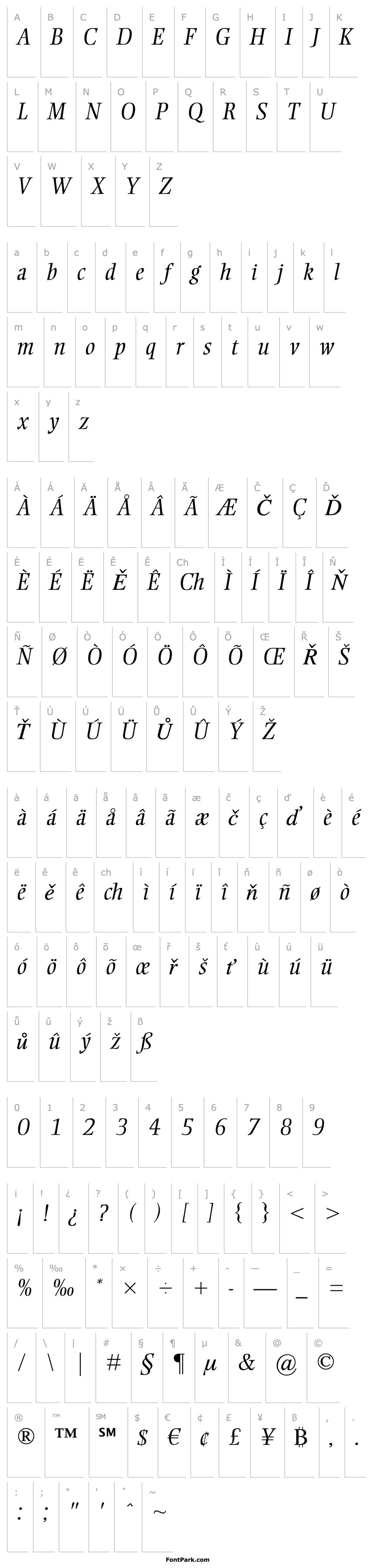 Overview Ellington MT Light Italic