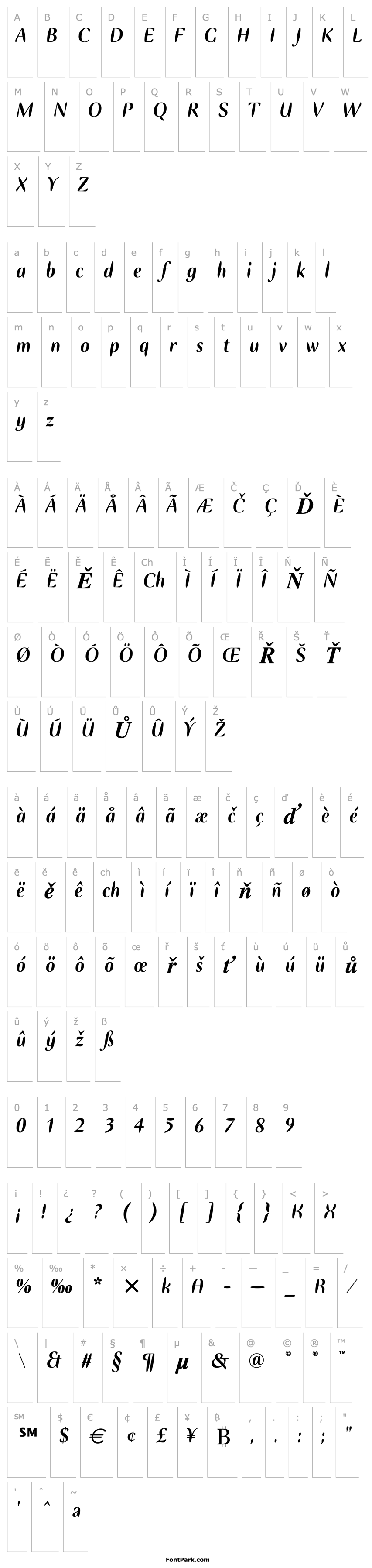 Overview Ellipse ITC TT Bold Italic