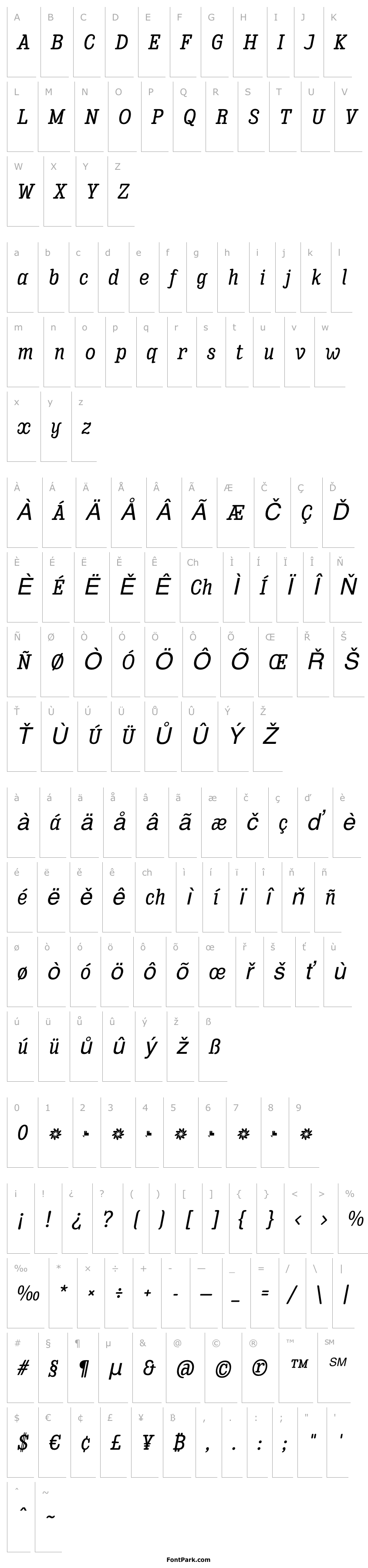 Přehled Enagol Math Medium Italic