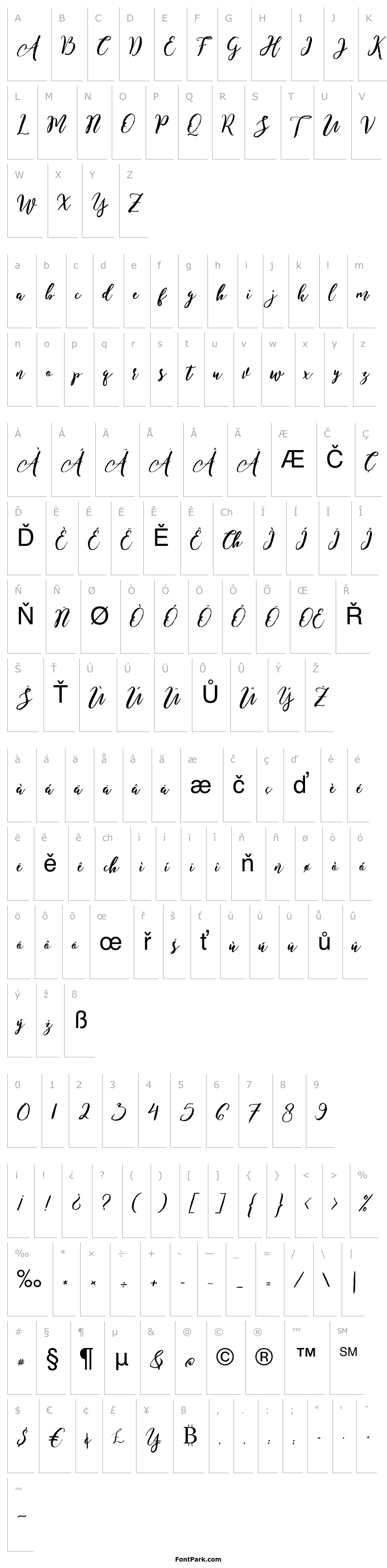 Přehled EnchantedBrush