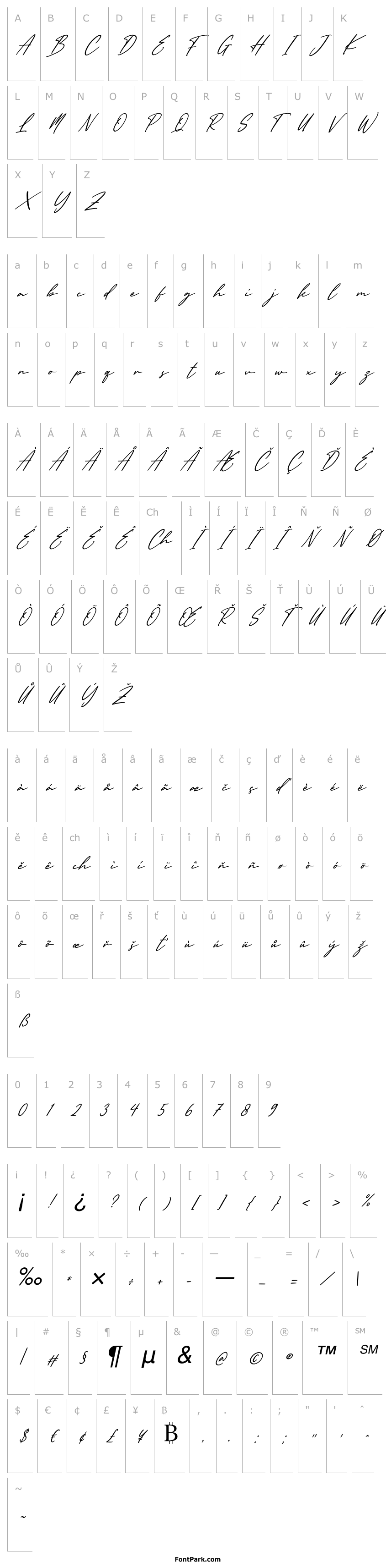 Přehled England Signature Italic