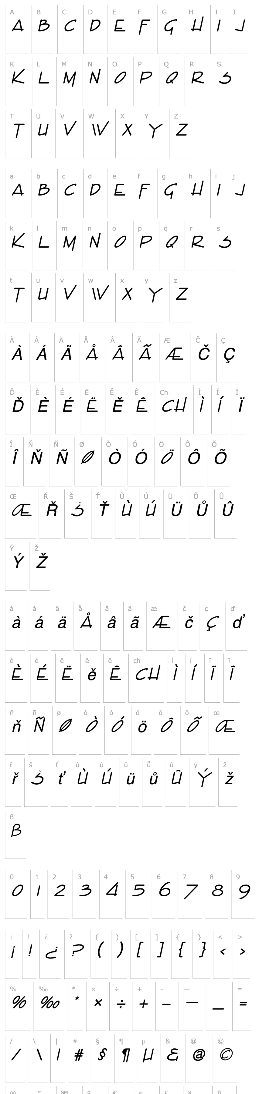 Přehled Enview Italic