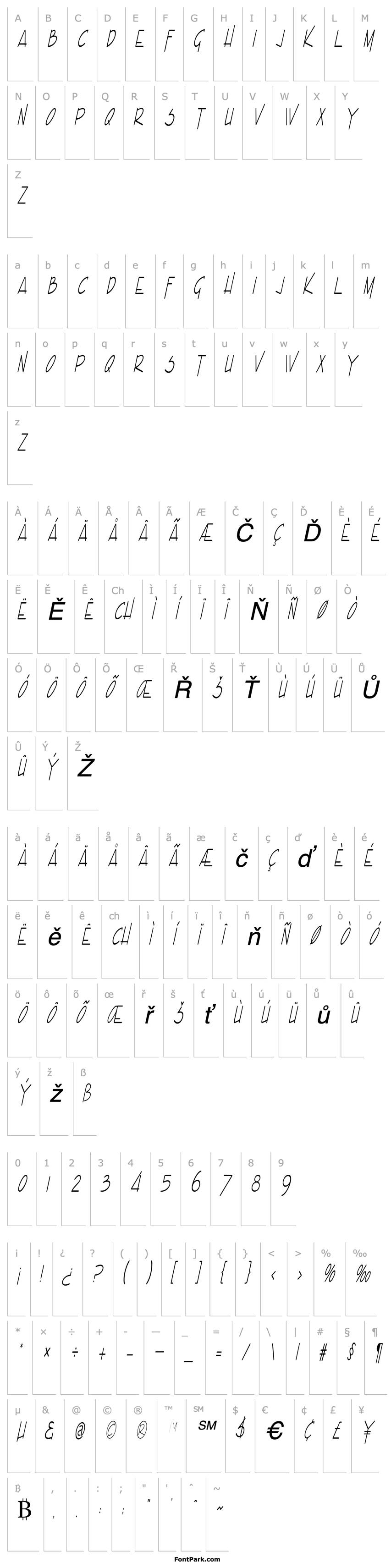 Overview Enview Light Italic