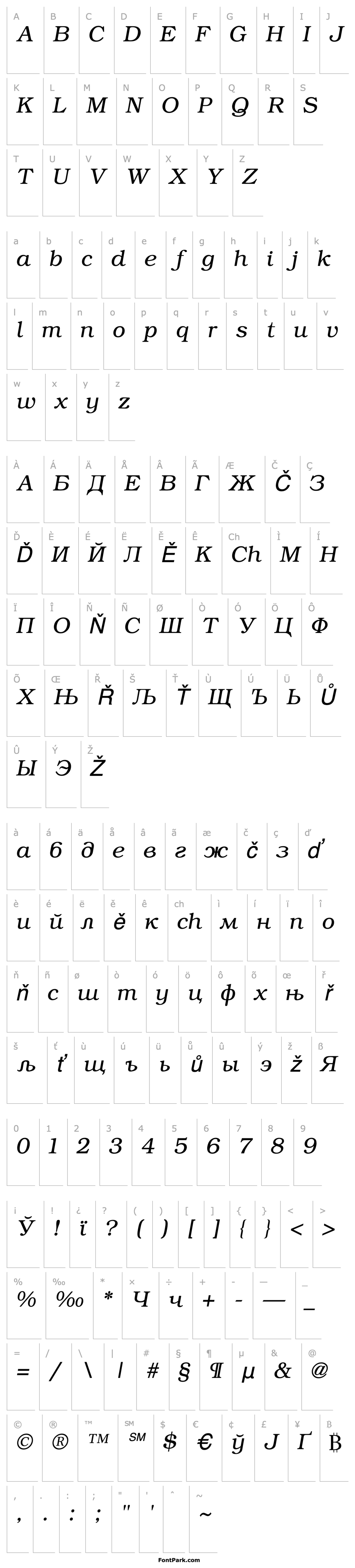 Overview ER Bukinist 1251 Italic