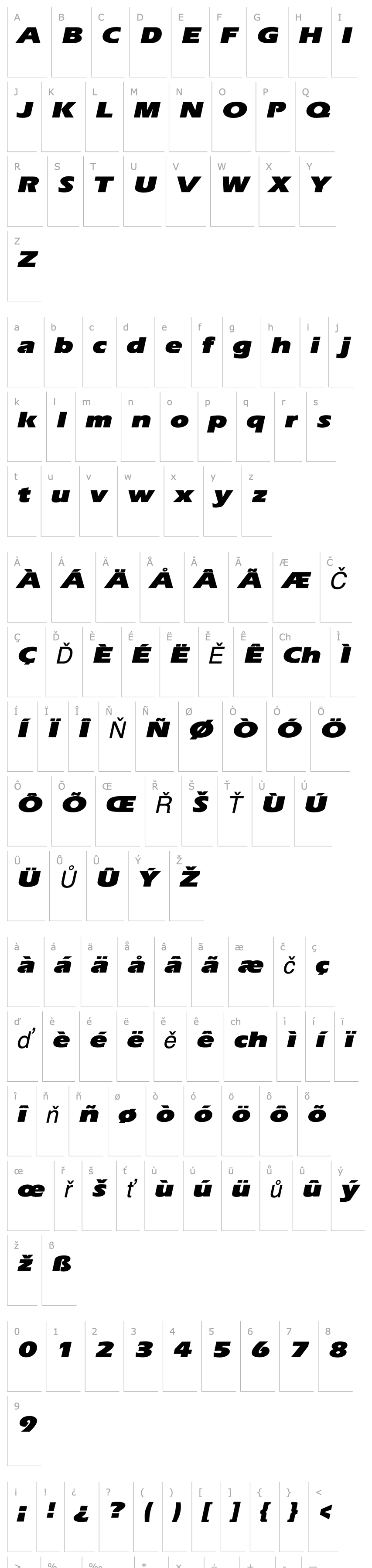 Overview ErgoeBlackExpanded Italic