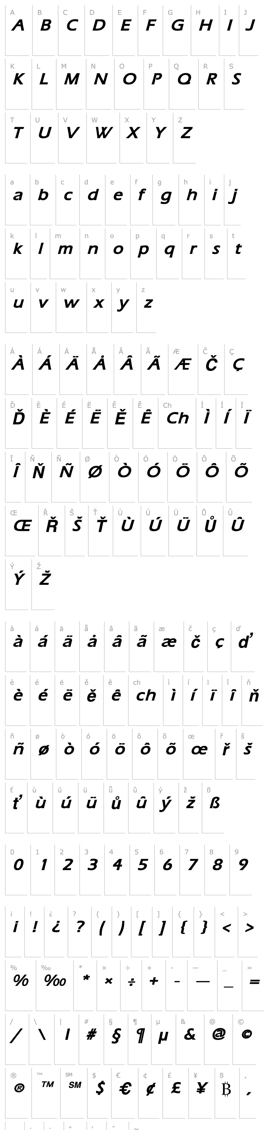 Overview ErgoeMild Bold Italic