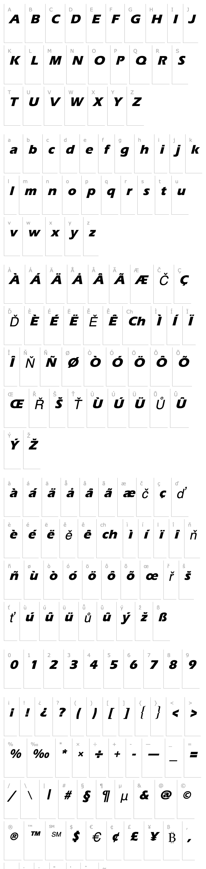 Přehled ErgoeMildExtrabold Italic