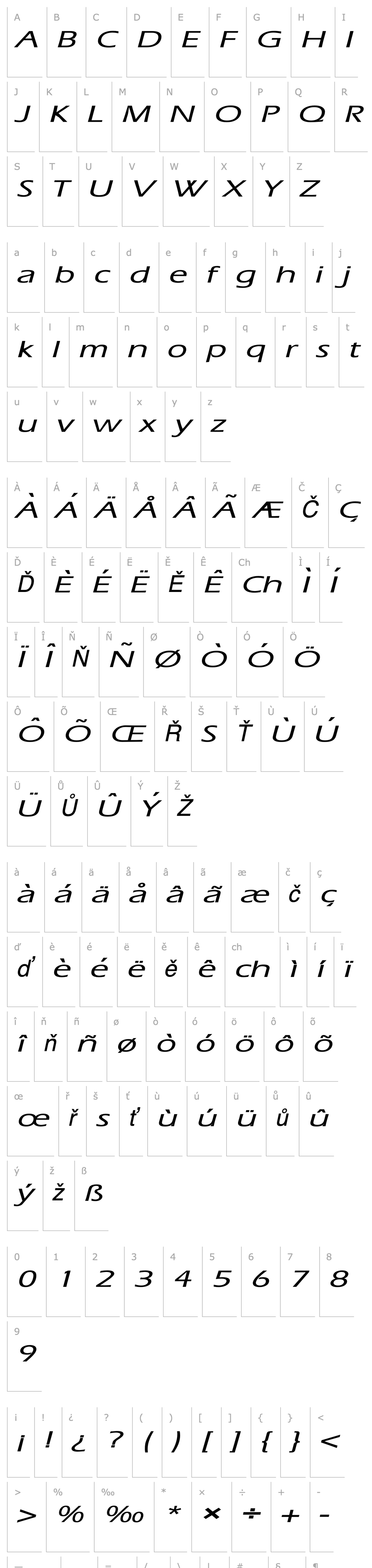 Overview Eric Extended Italic