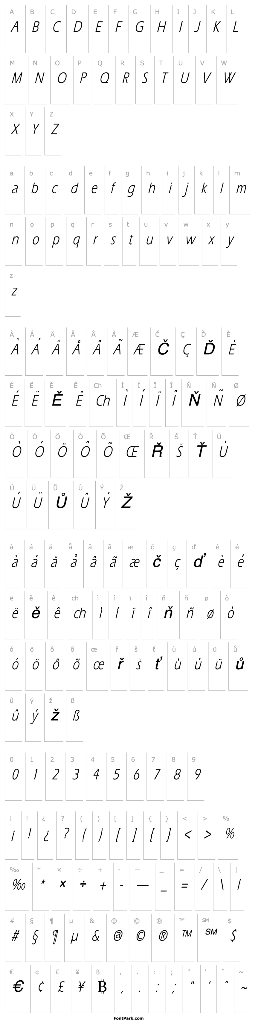 Overview Eric Thin Italic